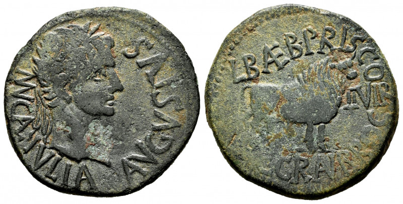 Calagurris. Augustus period. Unit. 27 BC - 14 AD. Calahorra (La Rioja). (Abh-416...