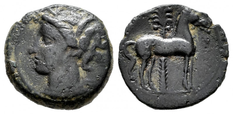 Carthage Nova. 1/2 calco. 220-215 BC. Cartagena (Murcia). (Abh-507). (Acip-604)....