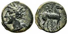 Carthage Nova. 1/2 calco. 400-350 BC. Cartagena (Murcia). (Abh-508 var). Anv.: Wreathed head of Tanit to left. Rev.: Horse standing to right, ahead th...