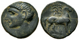 Carthage Nova. Calco. 220-205 BC. Cartagena (Murcia). (Abh-552). (Acip-609). Anv.: Bare-head left, Scipio Africanus?. Rev.: Horse standing right; palm...