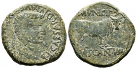 Cascantum. Time of Tiberius. Unit. 14-36 AD. Cascante (Navarra). (Abh-690). Anv.: TI. CAESAR. DIVI. AVG. F. AVGVSTVS. Laureate head of Tiberius right....
