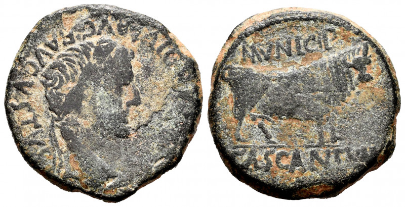 Cascantum. Time of Tiberius. Unit. 14-36 AD. Cascante (Navarra). (Abh-691). Anv....