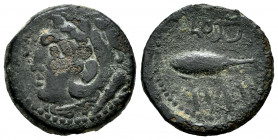 Gades-Gadir. Half unit. 100-20 BC. Cadiz. (Abh-1346). (Acip-670). Anv.: Head of Hercules left. Rev.: Tunny left, punic legend above and below. Ae. 5,9...