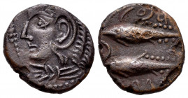 Gades-Gadir. Half unit. 100-20 BC. Cadiz. (Abh-1347). (Acip-689). (C-59). Anv.: Head of Hercules left, club before. Rev.: Two tunny left, punic legend...