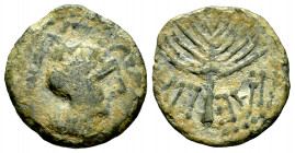 Laelia. Half unit. 50-20 BC. Olivares (Sevilla). (Abh-1651). (Acip-2362). Anv.: Helmeted head right. Rev.: Palm, inverted legend LAELIA. Ae. 3,64 g. C...