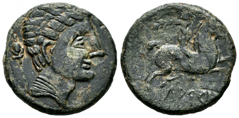 Lauro. Unit. 120-20 BC. Llerona (Barcelona). (Abh-1686). (Acip-1367). Anv.: Male...