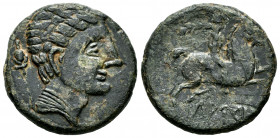Lauro. Unit. 120-20 BC. Llerona (Barcelona). (Abh-1686). (Acip-1367). Anv.: Male head right, behind scepter. Rev.: Horseman right, holding palm, iberi...