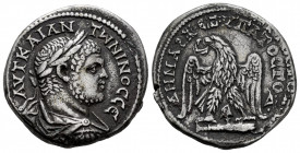 Caracalla. Tetradrachm. 215-217 AD. Phoenicia. (Prieur-1551). Anv.: ΑΥΤ ΚΑΙ ΑΝTѠNINOC CЄ, laureate, draped and cuirassed bust to right. Rev.: •ΔHMAPX•...