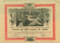 SCHWEIZ. Eisenbahnen / Bergbahnen / Trams etc. Chemin de Fer du Lac des IV Cantons (Rive Gauche). Aktie Fr. 250,-, 1908, Stans. Mitte Abbildung des Vi...