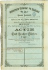 SCHWEIZ. Eisenbahnen / Bergbahnen / Trams etc. Internationale Gesellschaft für Bergbahnen. Aktie Fr. 500.-, 1873, Basel. Mit Originalunterschrift von ...