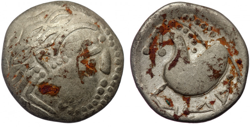 Eastern Europe. Mint in the northern Carpathian region "Schnabelpferd" type AR T...