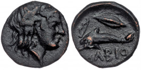 Skythia, Olbia Circa 325-320 BC AE
Wreathed head of Apollo Demeter to right
Rev: [ΟΛ]ΒΙΟ, dolphin to left, corn grain and arrow left
SNG Stancomb 422-...