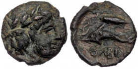 Skythia, Olbia Circa 325-320 BC AE
Wreathed head of Apollo Demeter to right
Rev: dolphin to left, corn grain 
SNG Stancomb 422-4; SNG BM Black Sea 653...