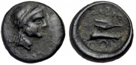 Skythia, Olbia Circa 350-300 BC. AE
Laureate head of Apollo right.
Rev: Dolphin swimming left, ΟΛΒΙO above, ear of grain(?)
SNG Moskau 710-715 and HGC...