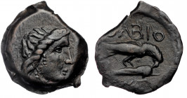 SKYTHIA. Olbia. AE19 cast, ca 350-300 BC
Obv: Draped bust of Demeter left.
Rev: ΟΛΒΙΟ - Sea eagle left, grasping dolphin with talons.
SNG BM Black Sea...