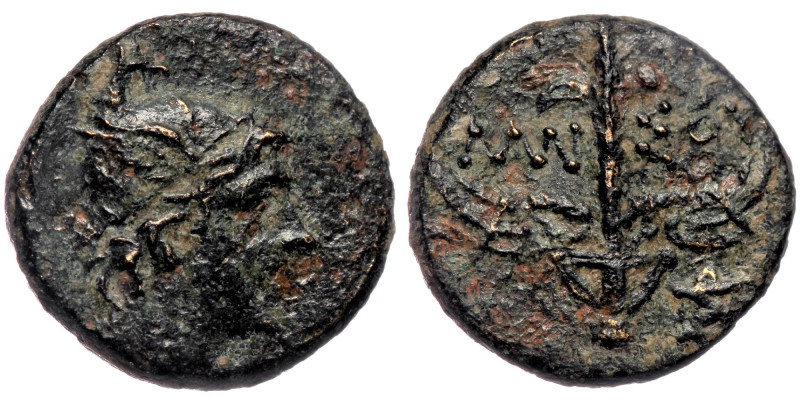 Pontos. Amisos AE14 Time of Mithradates VI Eupator (ca 85-65 BC) 
Head of Perseu...