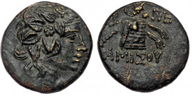 PONTOS, Amisos. temp. Mithradates VI Eupator (ca 85-65 BC) AE 20
Wreathed head of Mithradates VI as young Dionysos right 
Rev: Panther skin and thyrso...