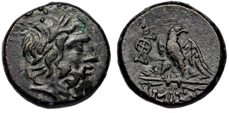 PONTOS. Amisos. Time of Mithradates VI Eupator (ca 100-85 BC) AE19 
Laureate hea...