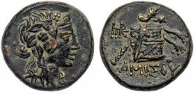 PONTOS, Amisos. temp. Mithradates VI Eupator (ca 85-65 BC) AE 20
Wreathed head of Mithradates VI as young Dionysos right 
Rev: Panther skin and thyrso...