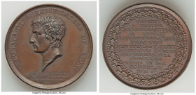 Napoleon bronze "Reconstruction of the Place Bellecour, Lyon" Medal 1800 AU (Cleaned), Bram-58, Julius-830. 44.1mm. 33.14gm. By Mercie. Includes old c...