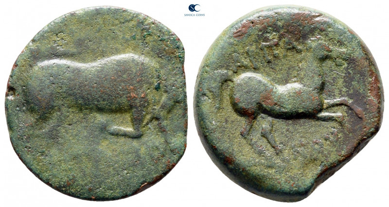 Apulia. Arpi circa 275-250 BC. 
Bronze Æ

20 mm, 5,37 g



nearly very fi...