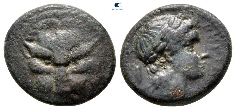 Bruttium. Rhegion circa 351-280 BC. 
Bronze Æ

15 mm, 2,69 g



nearly ve...