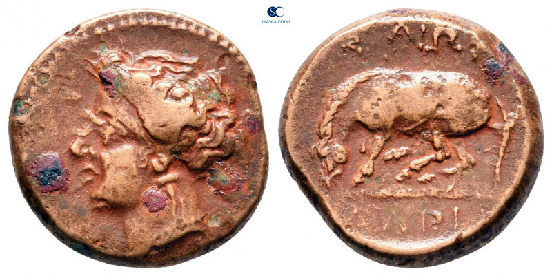 Thessaly. Larissa circa 350-320 BC. 
Bronze Æ

17 mm, 4,10 g



very fine...