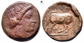 Thessaly. Larissa circa 350-300 BC. Bronze Æ