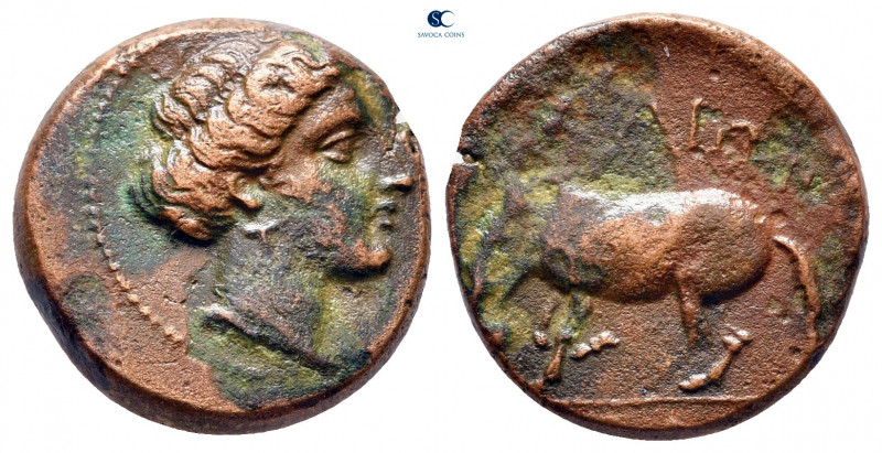 Thessaly. Larissa circa 350-300 BC. 
Bronze Æ

15 mm, 4,20 g



very fine...
