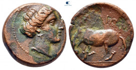 Thessaly. Larissa circa 350-300 BC. Bronze Æ