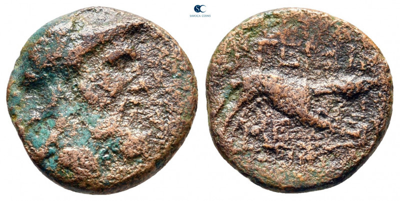 Akarnania. Argos Amphilochicon circa 330-300 BC. 
Bronze Æ

15 mm, 2,77 g

...