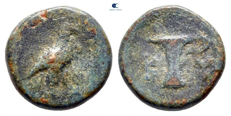 Aiolis. Kyme circa 350-210 BC. 
Bronze Æ

10 mm, 1,32 g



nearly very fi...
