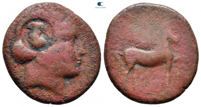 Aiolis. Kyme circa 350-300 BC. 
Bronze Æ

22 mm, 7,72 g



fine