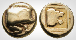 Greek
Lesbos, Mytilene (Circa 454-428/7 BC). 
EL Hekte. (10,06 mm, 2.42 g)Forepart of boar to right. /. Head of lion to right within linear square.