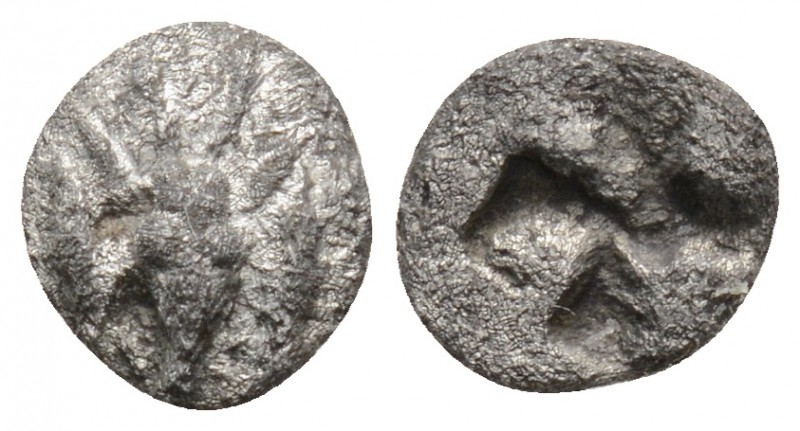 Greek
Mysia. Kyzikos. (Circa 550-500 BC).AR Hemiobol ( 8.5 mm, 0.37 g). Obv Fac...