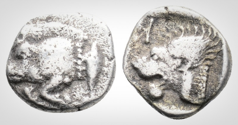 Greek
Mysia, Kyzikos (Circa. 450-400 BC) 
AR Obol (9.4 mm., 0,67g.) 
Forepart of...