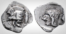 Greek
Mysia. Kyzikos. (Circa 450-400 BC). 
AR Obol (13,5 mm., 0,77g.)
Forepart of boar left, with Ǝ on shoulder; to right, tunny upward./ Head of roar...
