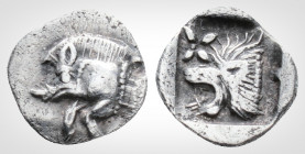 Greek 
Mysia. Kyzikos. (Circa 450-400 BC).AR Hemiobol (0.9 mm, 0,40 g.)Forepart of boar left; to right, tunny upward. / Head of roaring lion left; sta...