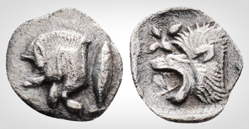 Greek
Mysia, Kyzikos. (Circa 525-475 BC).
AR Tetartemorion (9,7mm, 0.30 g,). 
Fo...
