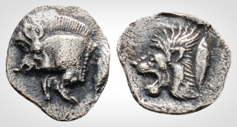 Greek 
Mysia, Kyzikos (Circa 450-400 BC). 
AR Hemiobol. (9,5mm, 0.34 g,) 
Forepa...