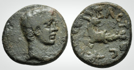 Roman Provincial
Mysia, Kyzikos Augustus (27 BC-AD 14) 
AE Bronze (17.2 mm, 3.76 g).
Obv: Bare head ight.
Obv: CЄBACTOC , Capricorn to left, head to r...