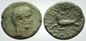 Roman Provincial
Mysia, Kyzikos Augustus (27 BC-AD 14). 
AE Bronze (16.7 mm, 3.48 g).
Obv: Bare head ight.
Obv: CЄBACTOC , Capricorn to left, head to ...