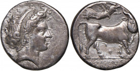 CAMPANIA Neapolis Didramma (325-241 a.C.) Testa di ninfa a d. - R/ Toro a d. sormontato dalla Vittoria in volo - AG (g 7,40) Abrasioni nell’esergo del...
