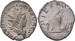 Salonino (260) Antoniniano - Busto radiato e drappeggiato a d. - R/ Strumenti sacrificali - RIC 9 AG (g 2,31) R
qSPL