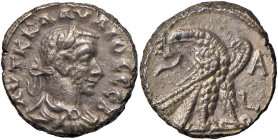 Claudio II (268-270) Tetradramma di Alessandria in Egitto L A - AE (g 9,51)
qSPL