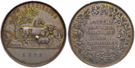 AUSTRIA Medaglia 1875 mostra agricola Lilienfeld - Opus: Radnitzky - AG (g 25,89 - Ø 38 mm) Colpi al bordo. Lettera A incusa sul bordo
BB+