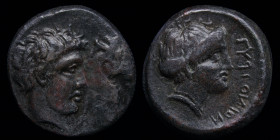 THESSALY, Gyrton (early-mid 4th century BCE) AE dichalkon. 4.33g, 16mm. 
Obv: Bare head of the hero Gyrton right; to right, head and neck of bridled h...