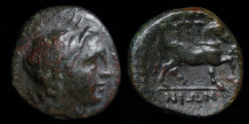 THESSALY, Gyrton (3rd century BCE) AE15 (dichalkon). 3.91g, 16mm.
Obv: Laureate head of Apollo or the hero Gyrton right
Rev: ΓYPT–Ω–NIΩN, bridled ho...