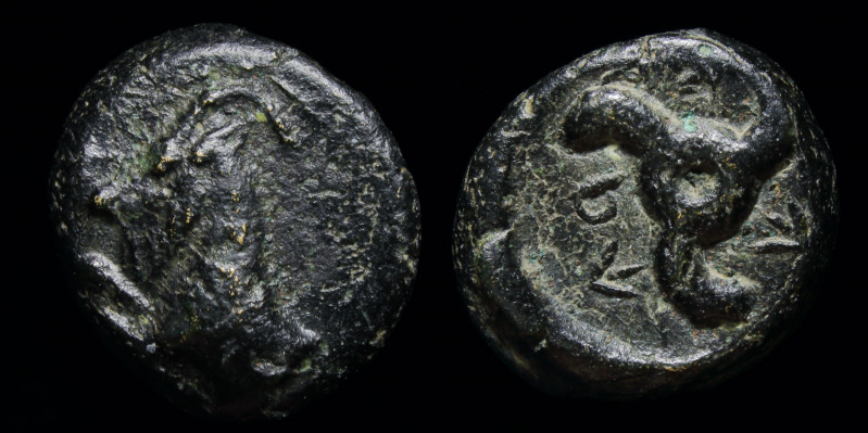 DYNASTS OF LYCIA: Perikles (c. 380-360 BCE) AE10. 1.45g, 10mm.
Obv: Forepart ib...