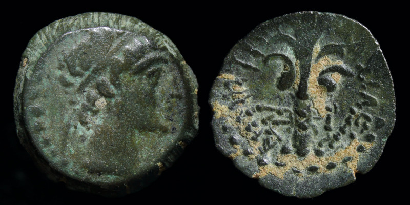 SELEUKID KINGDOM: Demetrios I Soter (162-150 BCE) AE14, denomination D (1/2 unit...